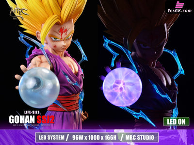Dragon Ball 1/1 Super Saiyan 2 Gohan GK Statue - MRC Studio [Pre-Order] Dragon Ball