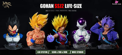 Dragon Ball 1/1 Super Saiyan 2 Gohan GK Statue - MRC Studio [Pre-Order] Dragon Ball