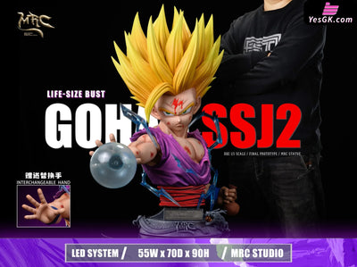 Dragon Ball 1/1 Super Saiyan 2 Gohan GK Statue - MRC Studio [Pre-Order] Dragon Ball