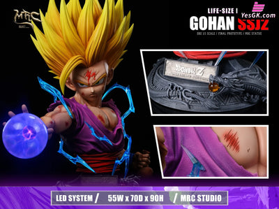 Dragon Ball 1/1 Super Saiyan 2 Gohan GK Statue - MRC Studio [Pre-Order] Dragon Ball