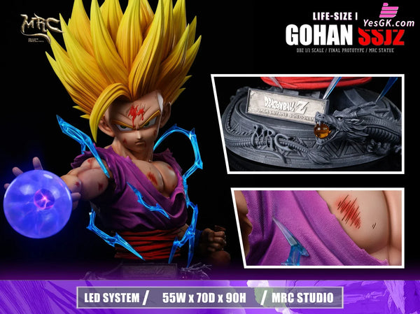 Dragon Ball 1/1 Super Saiyan 2 Gohan GK Statue - MRC Studio [Pre-Order] Dragon Ball