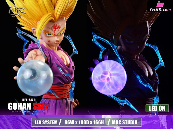 Dragon Ball 1/1 Super Saiyan 2 Gohan GK Statue - MRC Studio [Pre-Order] Dragon Ball
