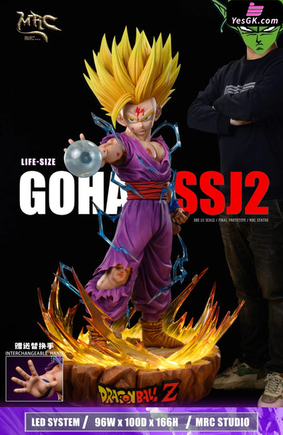 Dragon Ball 1/1 Super Saiyan 2 Gohan GK Statue - MRC Studio [Pre-Order] Deposit / 1/1 Full body Dragon Ball