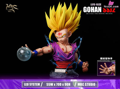 Dragon Ball 1/1 Super Saiyan 2 Gohan GK Statue - MRC Studio [Pre-Order] Deposit / 1/1 Bust Dragon Ball