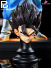 Dragon Ball 2.5D color matching Vegetto Vegito GK Statue - PlanB Studio [Pre-Order] Dragon Ball