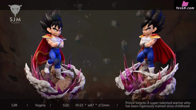 Dragon Ball Baby Vegeta Resin Statue - Sjm Studio [Pre-Order]