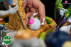 Dragon Ball Capsule Series Chapter 1 Cell Chapter GK Statue - GOAT Studio [Pre-Order] Dragon Ball