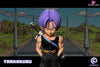 Dragon Ball Cell Game Z Fighter Collection Trunks GK Statue - C Studio [In-Stock] - Full Payment - Dragon Ball
