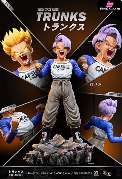 Dragon Ball Future Battle Chapter Young Trunks 1/6 GK Statue - Z Studio & Dim Studio [In-Stock] - Full Payment - Dragon