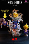 Dragon Ball Gohan 1/6 GK Statue - RED FLAME Studio [In-Stock] - Full Payment - DragonBall