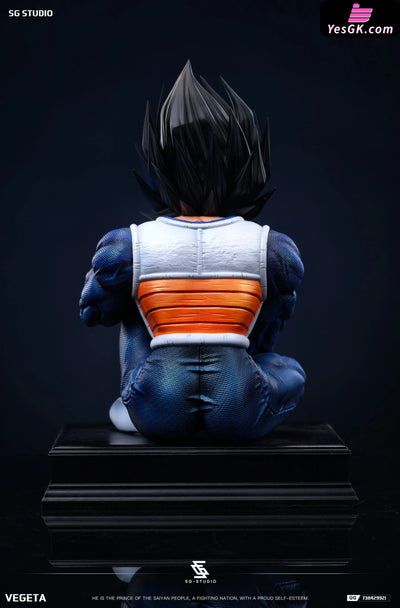 Dragon Ball Namek Vegeta GK Statue - SG Studio [Pre-Order] Dragon Ball