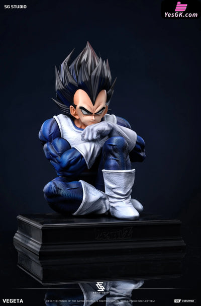 Dragon Ball Namek Vegeta GK Statue - SG Studio [Pre-Order] Dragon Ball
