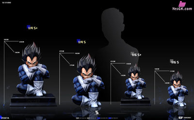 Dragon Ball Namek Vegeta GK Statue - SG Studio [Pre-Order] Dragon Ball