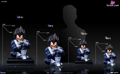 Dragon Ball Namek Vegeta GK Statue - SG Studio [Pre-Order] Dragon Ball