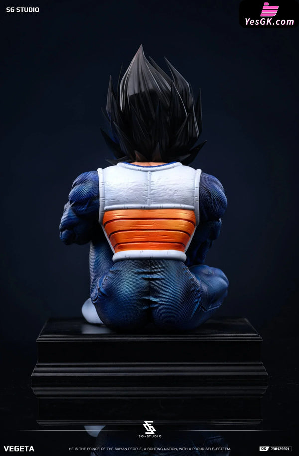 Dragon Ball Namek Vegeta GK Statue - SG Studio [Pre-Order] Dragon Ball