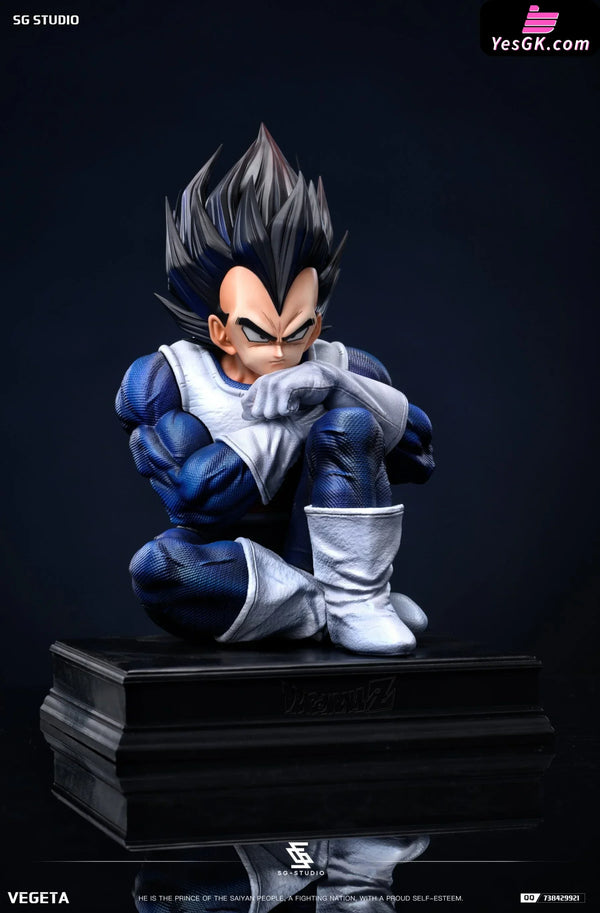 Dragon Ball Namek Vegeta GK Statue - SG Studio [Pre-Order] Dragon Ball