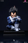 Dragon Ball Namek Vegeta GK Statue - SG Studio [Pre-Order] Deposit / 1/4 Scale / High Edition Dragon Ball