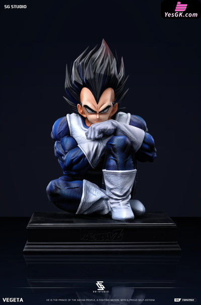 Dragon Ball Namek Vegeta GK Statue - SG Studio [Pre-Order] Deposit / 1/4 Scale / High Edition Dragon Ball