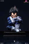 Dragon Ball Namek Vegeta GK Statue - SG Studio [Pre-Order] Deposit / 1/4 Scale / High Edition Dragon Ball