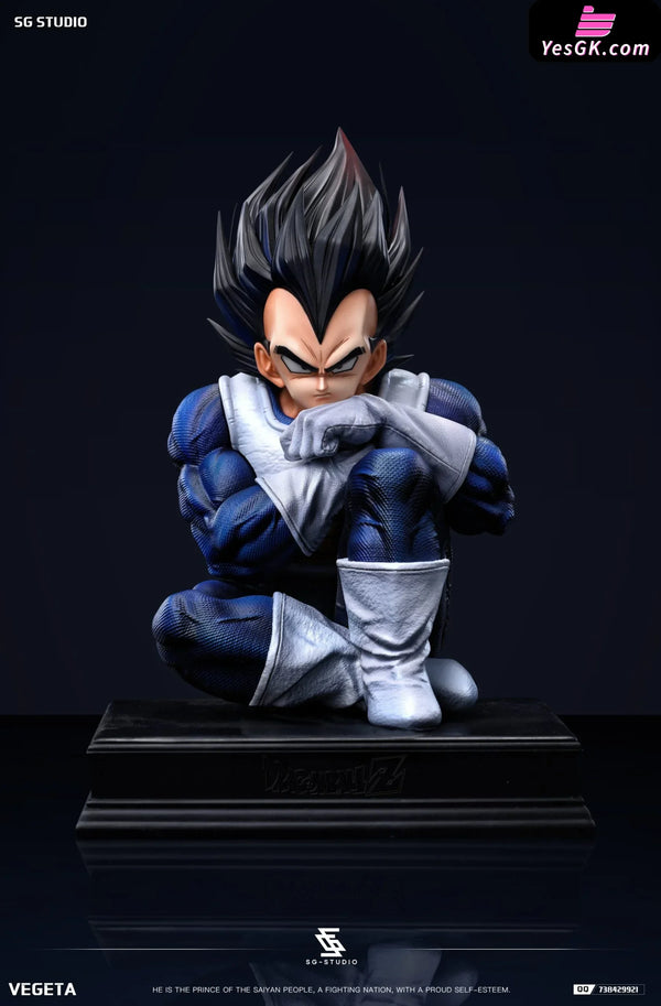 Dragon Ball Namek Vegeta GK Statue - SG Studio [Pre-Order] Deposit / 1/4 Scale / High Edition Dragon Ball