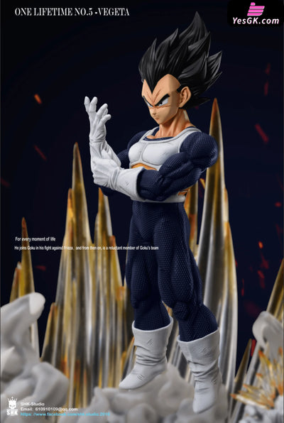 Dragon Ball One Lifetime No.5 Vegeta Statue - Shk Studio [In-Stock]