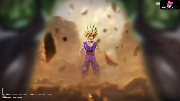 Dragon Ball Dragon Ball Series #5 Super Saiyan 2 Gohan GK Statue - SG Studio [Pre-Order] Deposit / Low Version Dragon