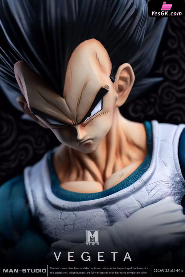Dragon Ball Standing Character #4 Vegeta 1/6 GK Statue - MAN Studio [Pre-Order] - DragonBall