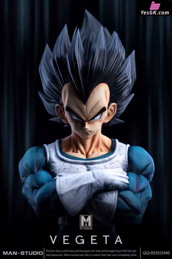 Dragon Ball Standing Character #4 Vegeta 1/6 GK Statue - MAN Studio [Pre-Order] - DragonBall