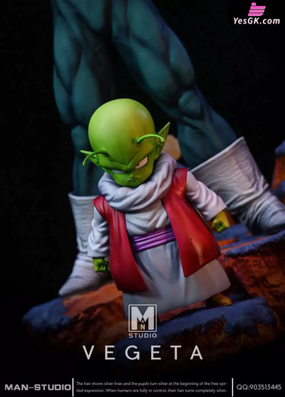 Dragon Ball Standing Character #4 Vegeta 1/6 GK Statue - MAN Studio [Pre-Order] - Deposit / Dende - DragonBall