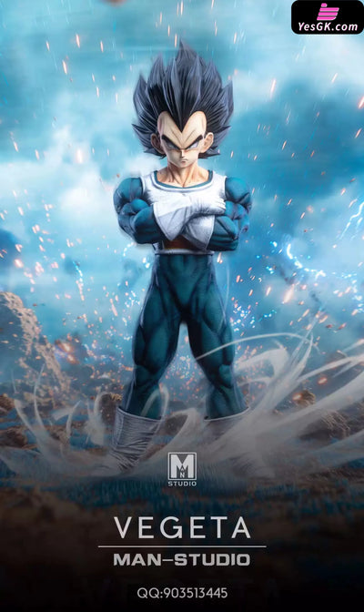 Dragon Ball Standing Character #4 Vegeta 1/6 GK Statue - MAN Studio [Pre-Order] - Deposit / Vegeta Painted Version