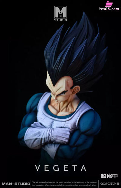 Dragon Ball Standing Character #4 Vegeta 1/6 GK Statue - MAN Studio [Pre-Order] - DragonBall