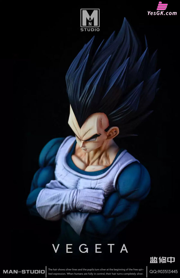 Dragon Ball Standing Character #4 Vegeta 1/6 GK Statue - MAN Studio [Pre-Order] - DragonBall