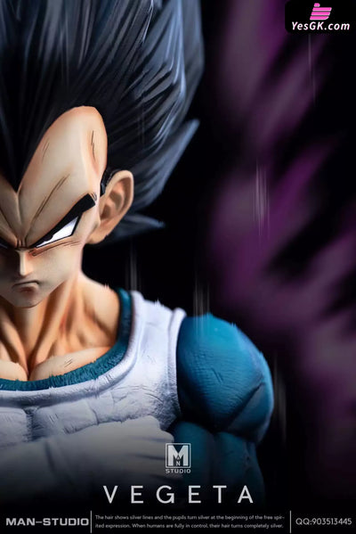 Dragon Ball Standing Character #4 Vegeta 1/6 GK Statue - MAN Studio [Pre-Order] - DragonBall