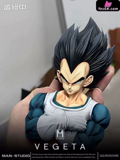 Dragon Ball Standing Character #4 Vegeta 1/6 GK Statue - MAN Studio [Pre-Order] - DragonBall