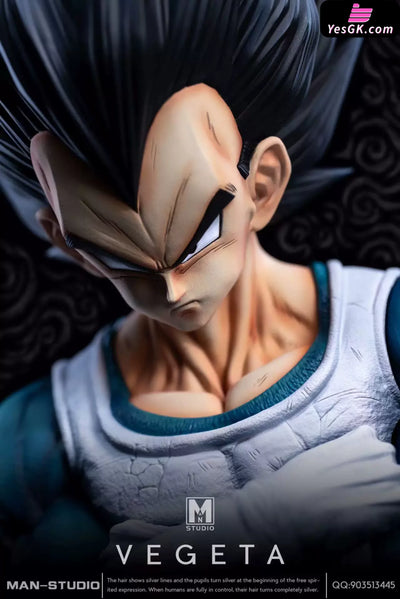 Dragon Ball Standing Character #4 Vegeta 1/6 GK Statue - MAN Studio [Pre-Order] - DragonBall