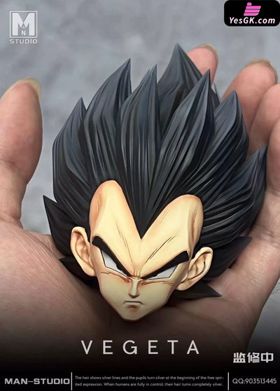Dragon Ball Standing Character #4 Vegeta 1/6 GK Statue - MAN Studio [Pre-Order] - DragonBall