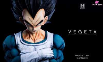 Dragon Ball Standing Character #4 Vegeta 1/6 GK Statue - MAN Studio [Pre-Order] - DragonBall