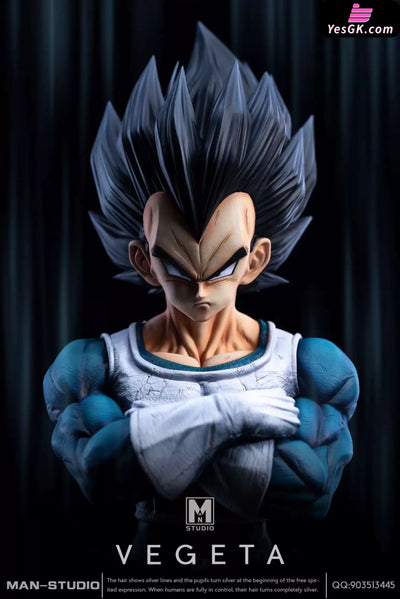 Dragon Ball Standing Character #4 Vegeta 1/6 GK Statue - MAN Studio [Pre-Order] - DragonBall