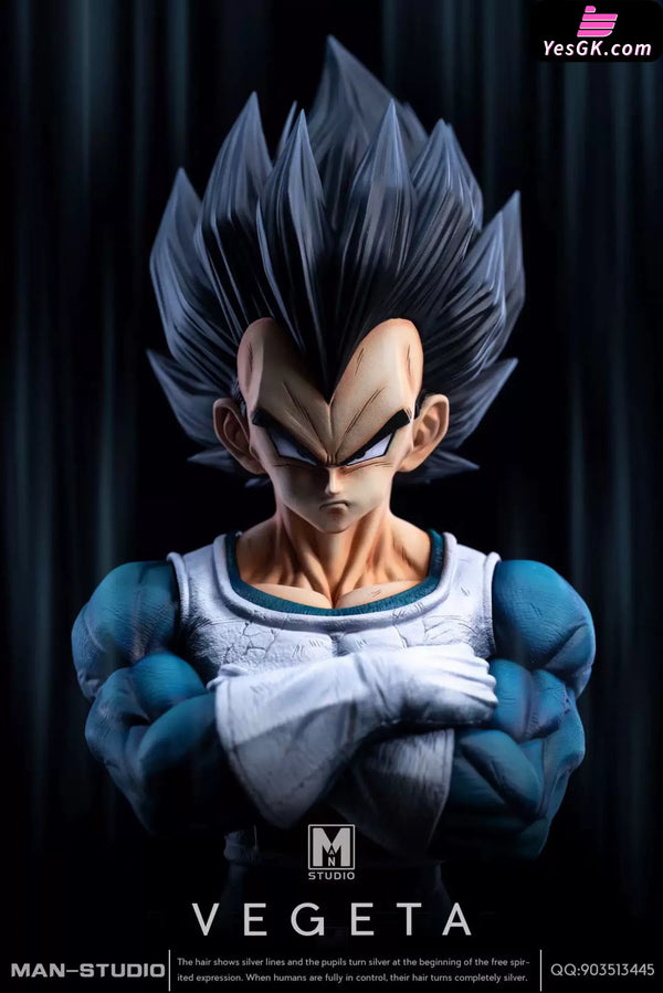 Dragon Ball Standing Character #4 Vegeta 1/6 GK Statue - MAN Studio [Pre-Order] - DragonBall