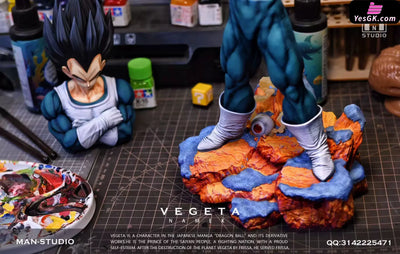 Dragon Ball Standing Character #4 Vegeta 1/6 GK Statue - MAN Studio [Pre-Order] - DragonBall