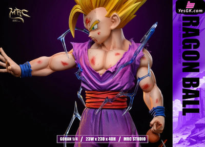 Dragon Ball Super Saiyan 2 Gohan GK Statue - MRC Studio [Pre-Order Closed] Dragon Ball