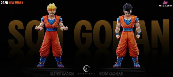 Dragon Ball Super Saiyan 2 Gohan & Mysterious Gohan GK Statue - XG Studio [Pre-Order] Dragon Ball