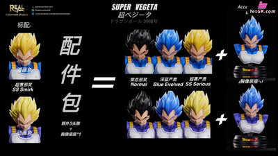 Dragon Ball Super Vegeta Resin Statue - Real Creation Studio [Pre - Order]