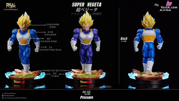 Dragon Ball Super Vegeta Resin Statue - Real Creation Studio [Pre - Order]