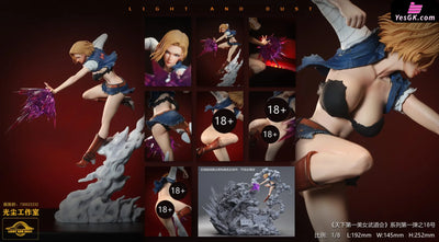 Dragon Ball Tenkaichi Beauty Budokai #1 Android 18 Vs One Piece Yamato Statue - Light And Dust