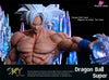 Dragon Ball Ultra Instinct Son Goku Resin Statue - Sky Top Studio [Pre-Order Closed]