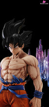 Dragon Ball Ultra Instinct Son Goku Resin Statue - Tu Er Ye Studio [Pre-Order]