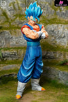 Dragon Ball Vegito Resin Statue - Break Studio [Pre - Order]