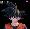 Dragon Ball World’s No. 1 Budokai Series - Goku&Chichi Resin Statue - Comic Hero Studio & RAVEN Studio [In-Stock] Full