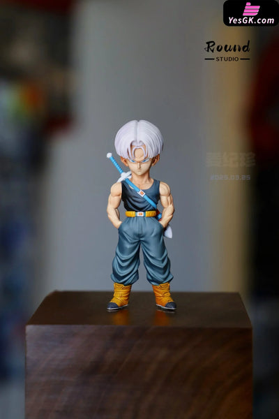 Dragon Ball Z Warrior Resonance Trunks GK Statue - Round Studio [Pre-Order] Deposit / B Version Dragon Ball